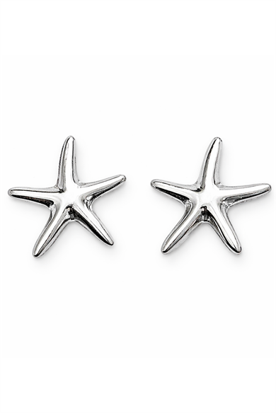 Gümüş Renk Yıldız Figürlü Küpe (Çift)