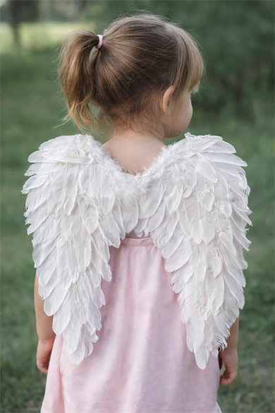 Beyaz Renk Melek Kanat