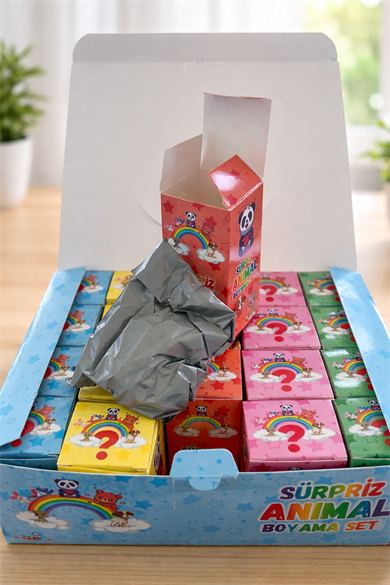 20li Karışık Figürlü Sürpriz Boyama Seti