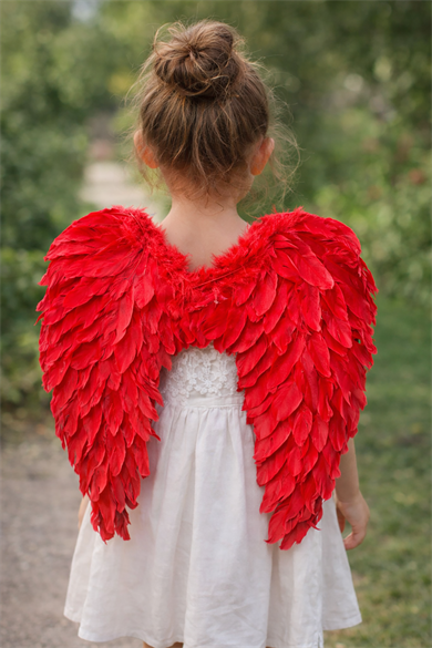 Kırmızı Renk Melek Kanat