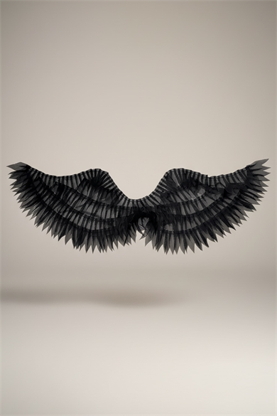 Siyah Renk Işıklı Melek Kanadı 