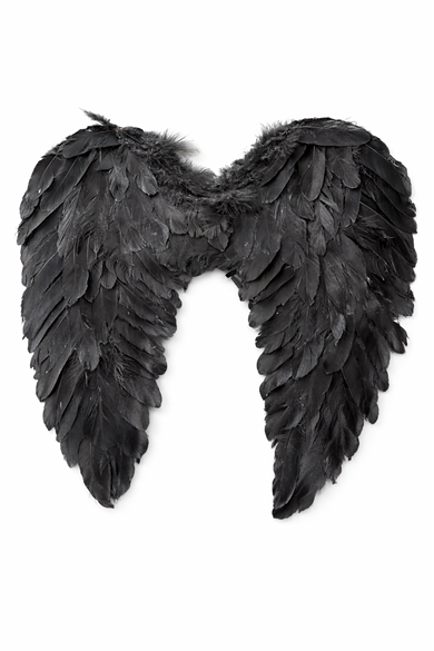 Siyah Renk Melek Kanat