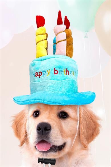 Mavi Renk Mum Figürlü Happy Birthday Yazılı Kedi Köpek Şapkası