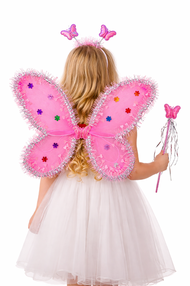 Pembe Renk Kanat /Asa /Taç Set