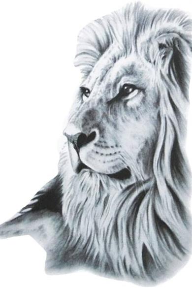 Geçici Aslan Figürlü Dövme Tattoo