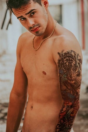 Temporary tiger arm tattoo tattoo