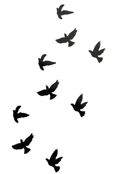 Geçici Kuş Figürlü Dövme Tatto