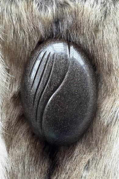 Kahverengi Taşınabilir Saç Tarama Fırçası/ Tarak