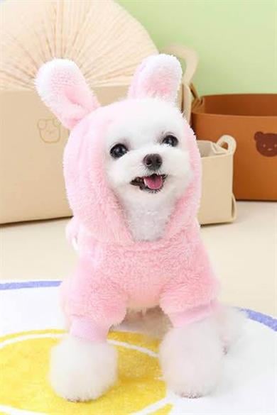 Pembe Renk Havuç Figürlü Peluş XL Köpek Tulum