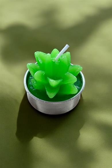 Yeşil Renk Sukulent Figürlü Mum