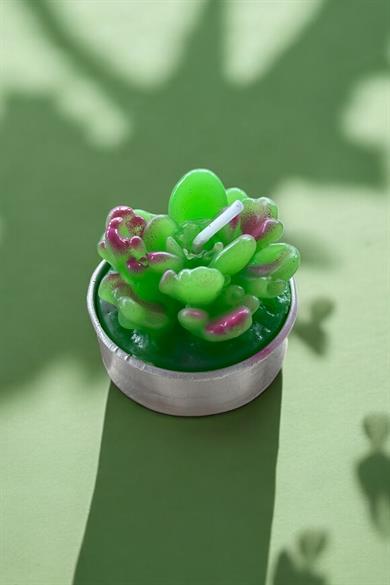 Yeşil Renk Sukulent Figürlü Mum