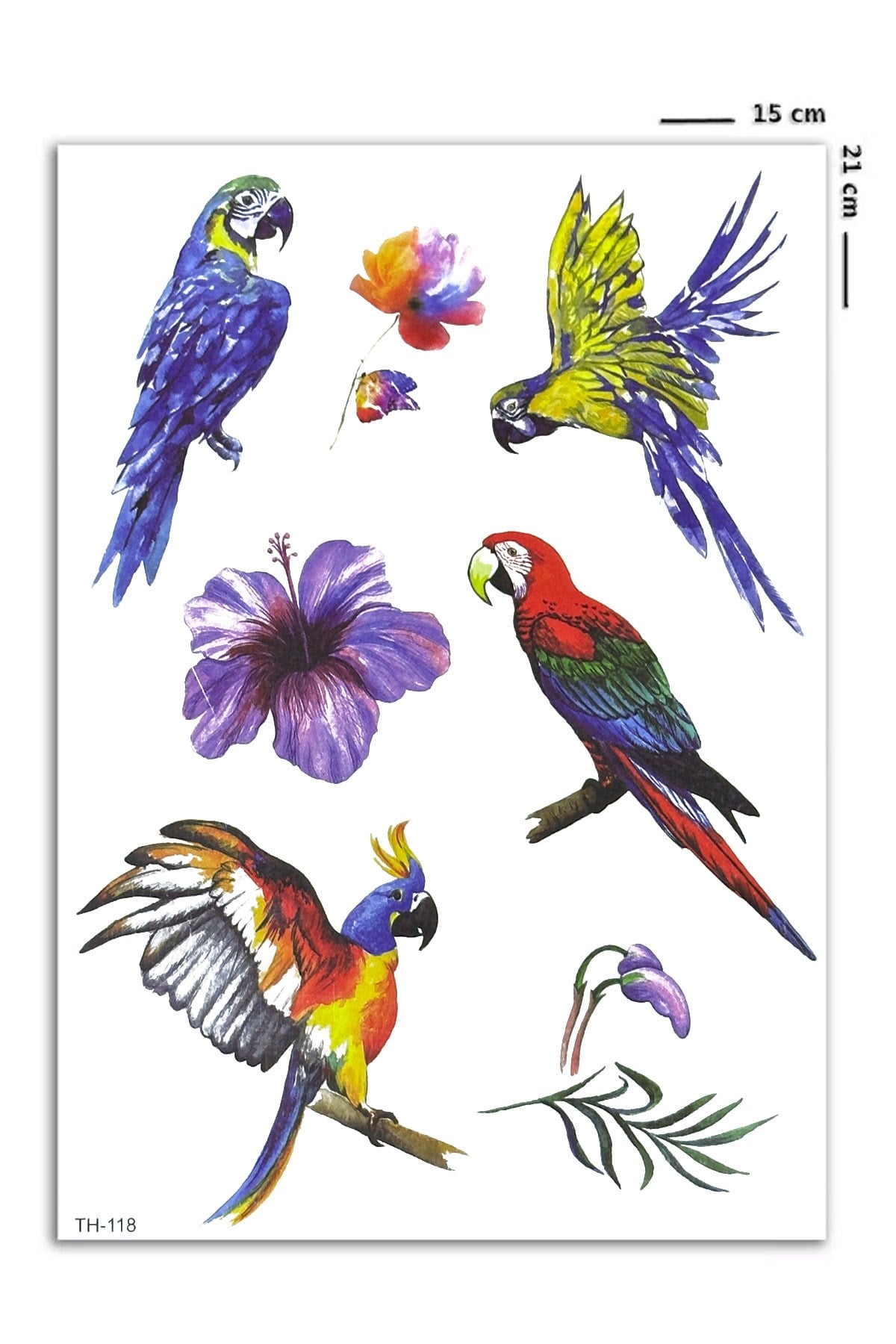 Çoklu Papağan Geçici Dövme Tattoo