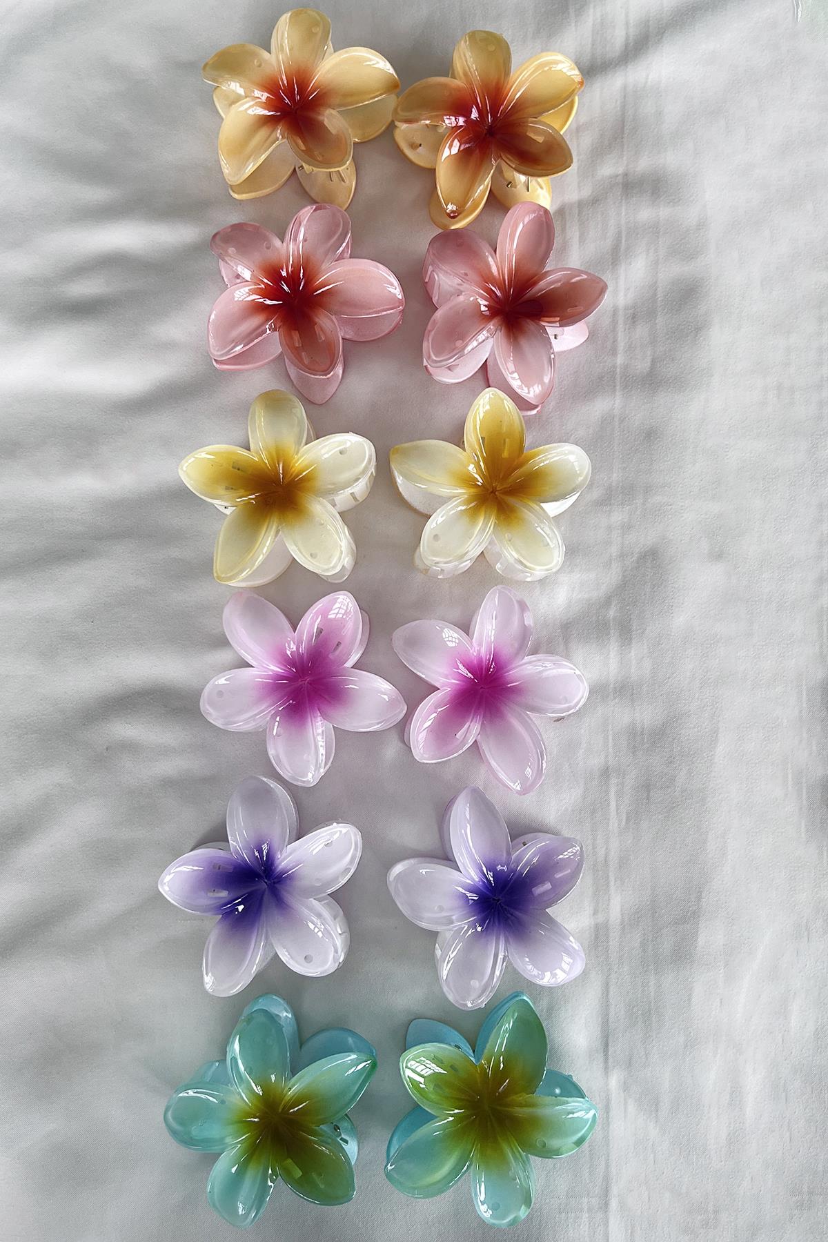 12'li Karışık Renk Lotus Mandal Toka Set