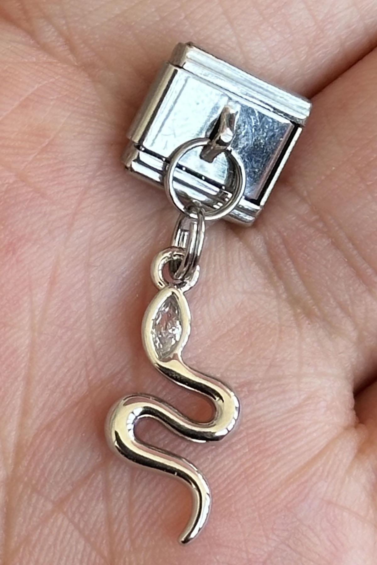 Gümüş Renk Yılan Figürlü Çelik Nomination Charm (Tek)