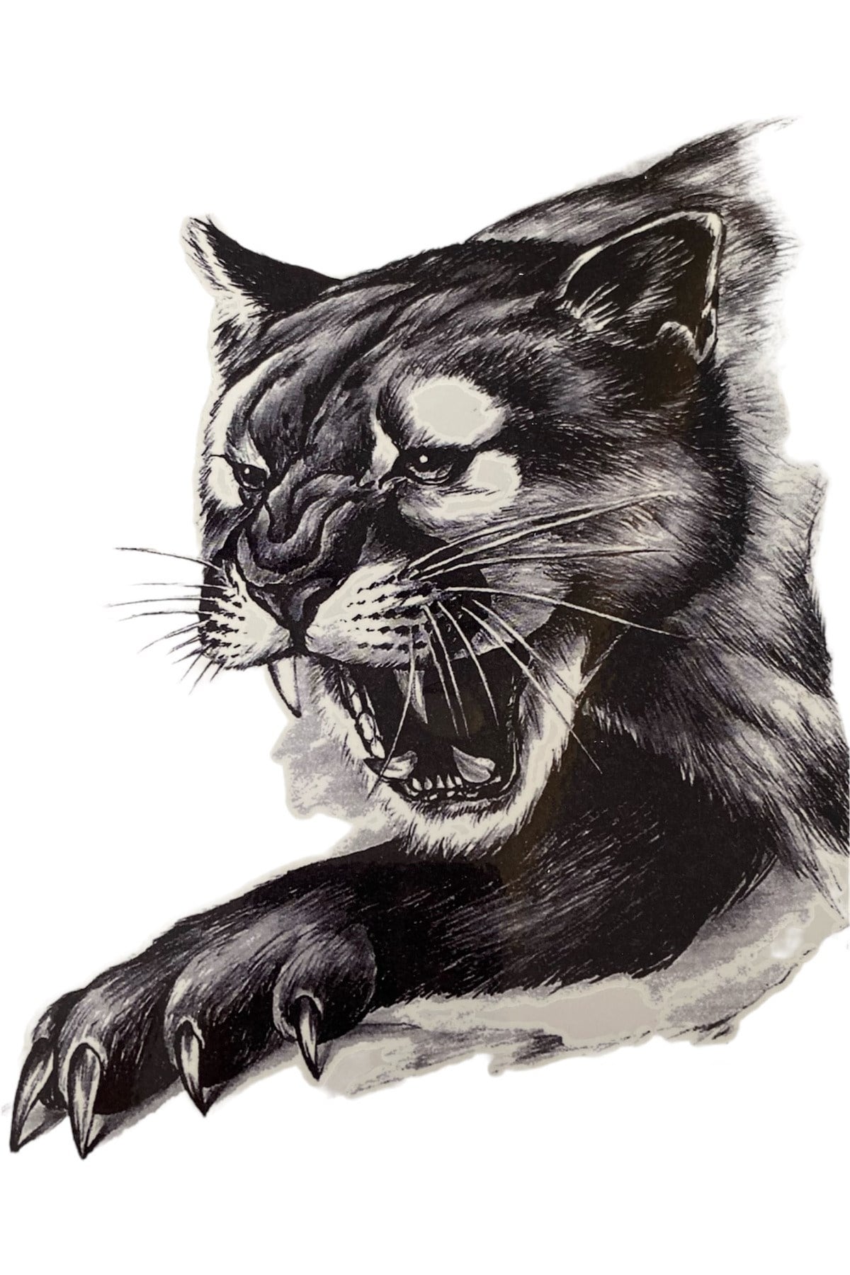 Kedi Büyük Geçici Dövme Tattoo