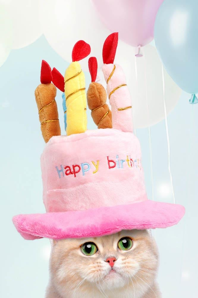 Pembe Renk Mum Figürlü Happy Birthday Yazılı Kedi Köpek Şapkası