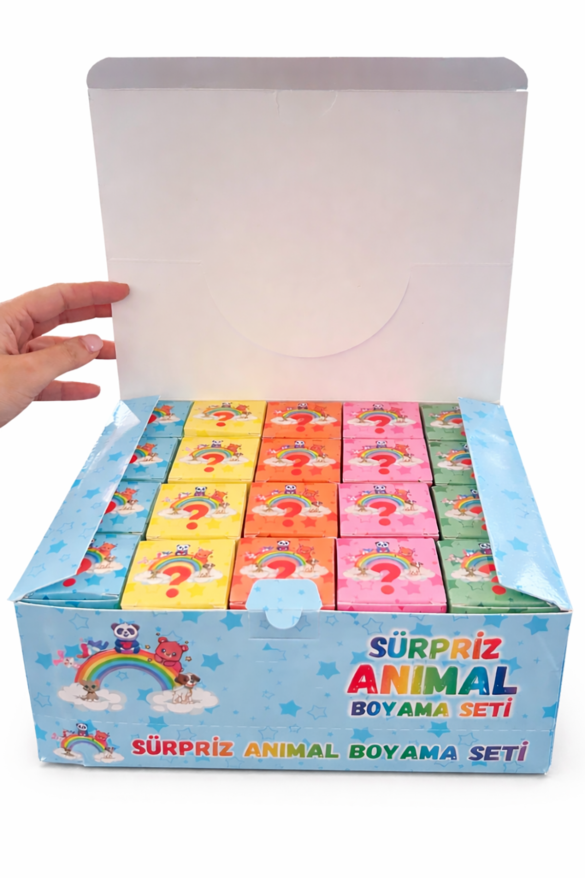 20'li Karışık Figürlü Sürpriz Boyama Seti