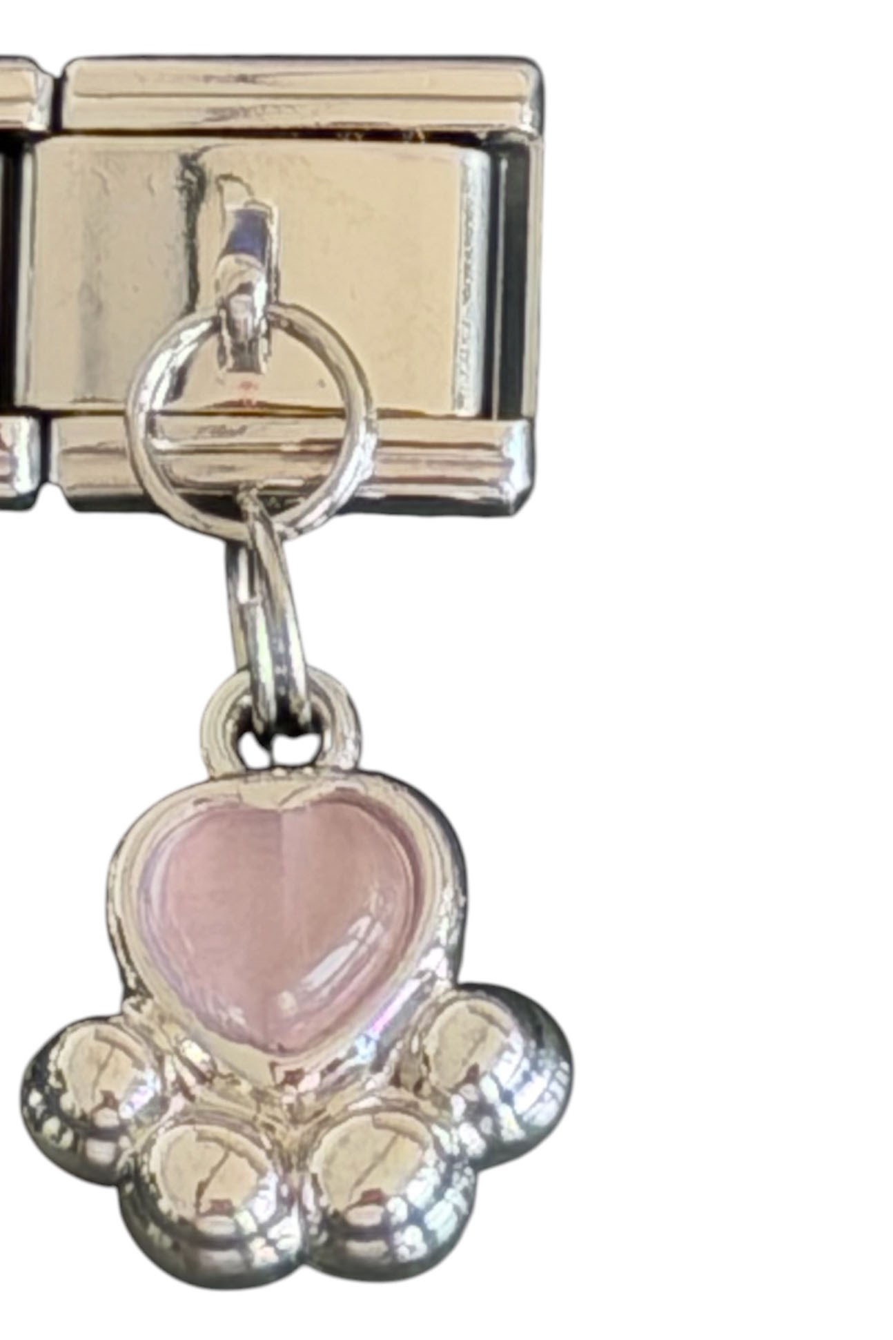 Gümüş Renk Pati Figürlü Çelik Nomination Charm (Tek)