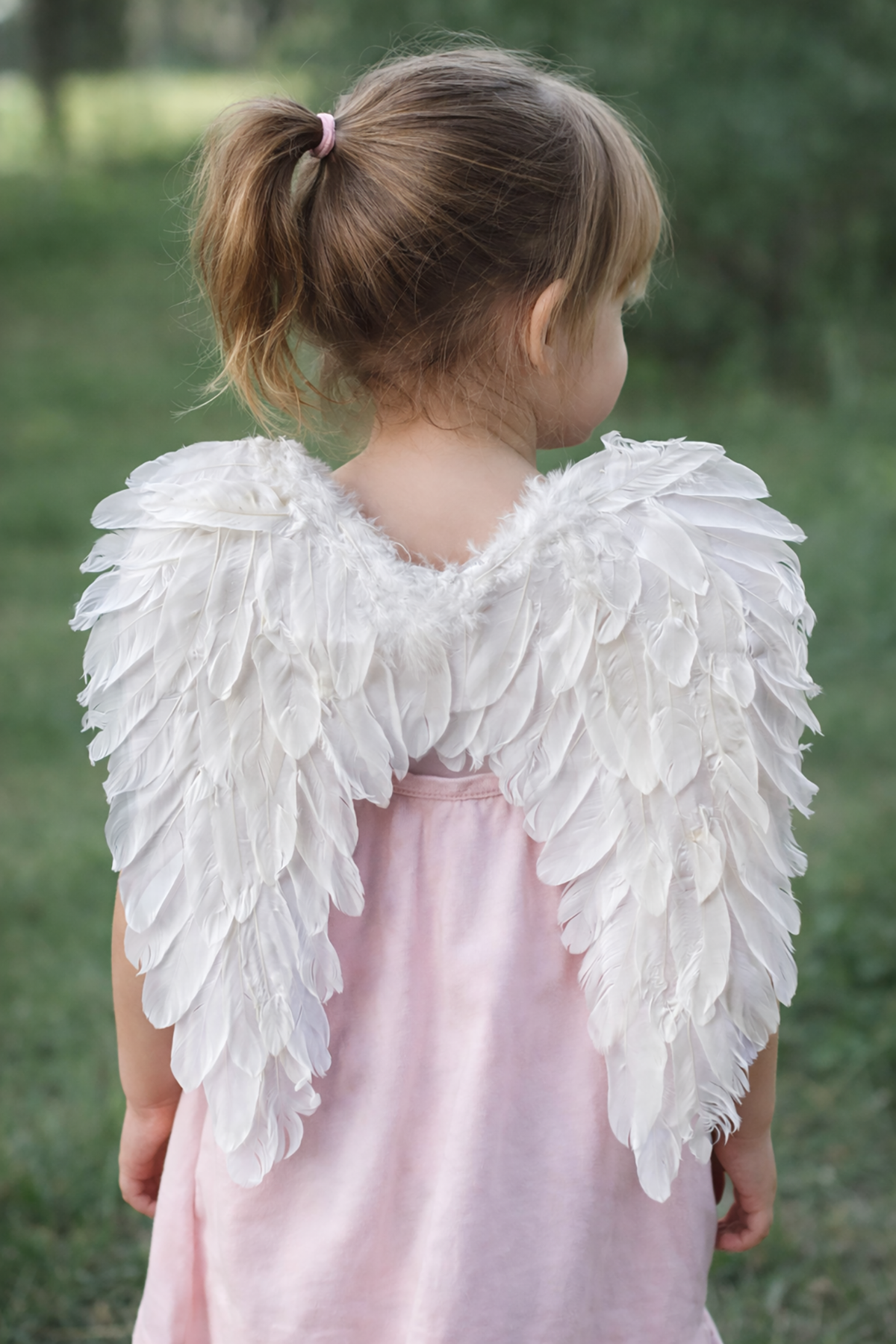 Beyaz Renk Melek Kanat