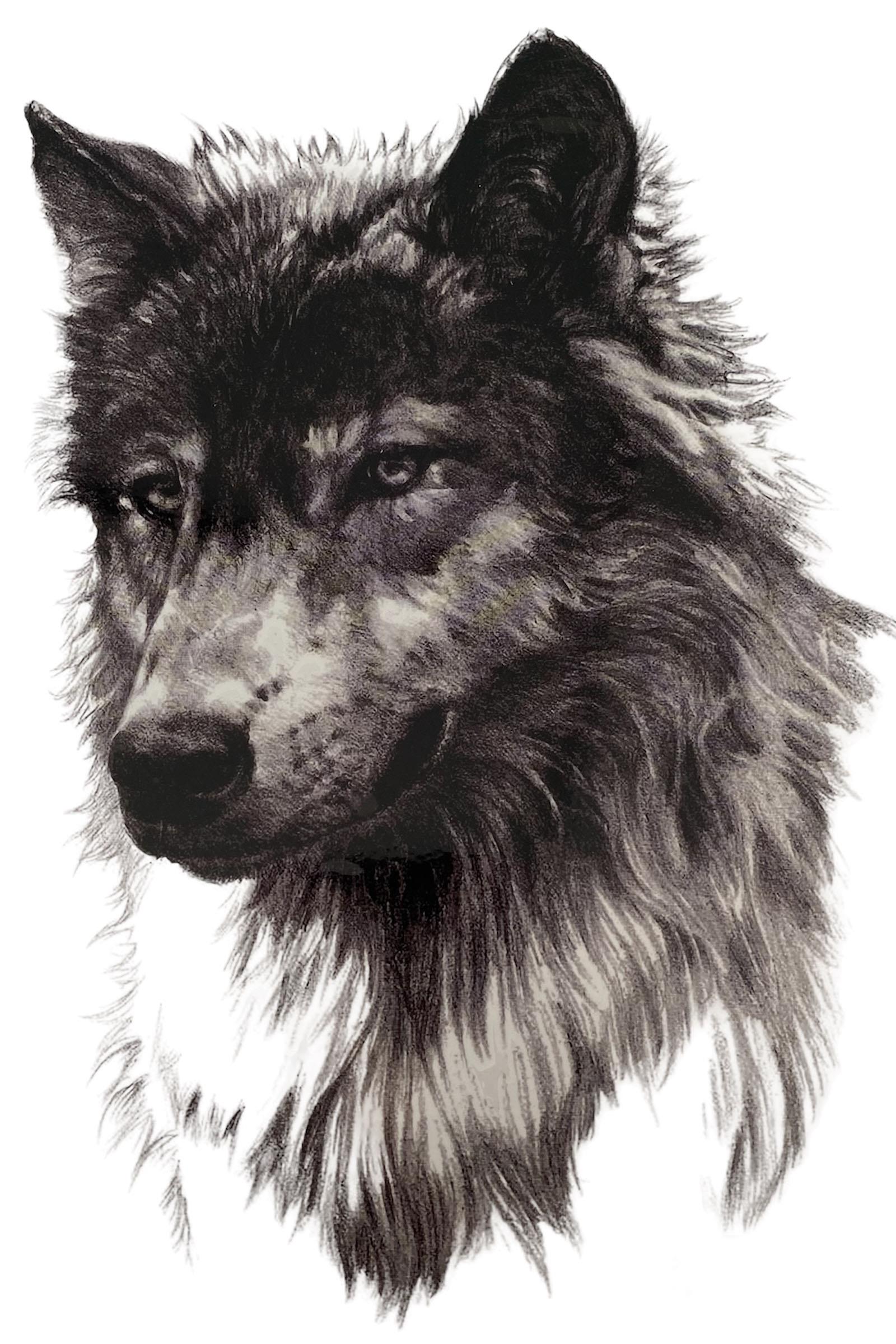 Geçici Kurt Figürlü Dövme Tattoo 