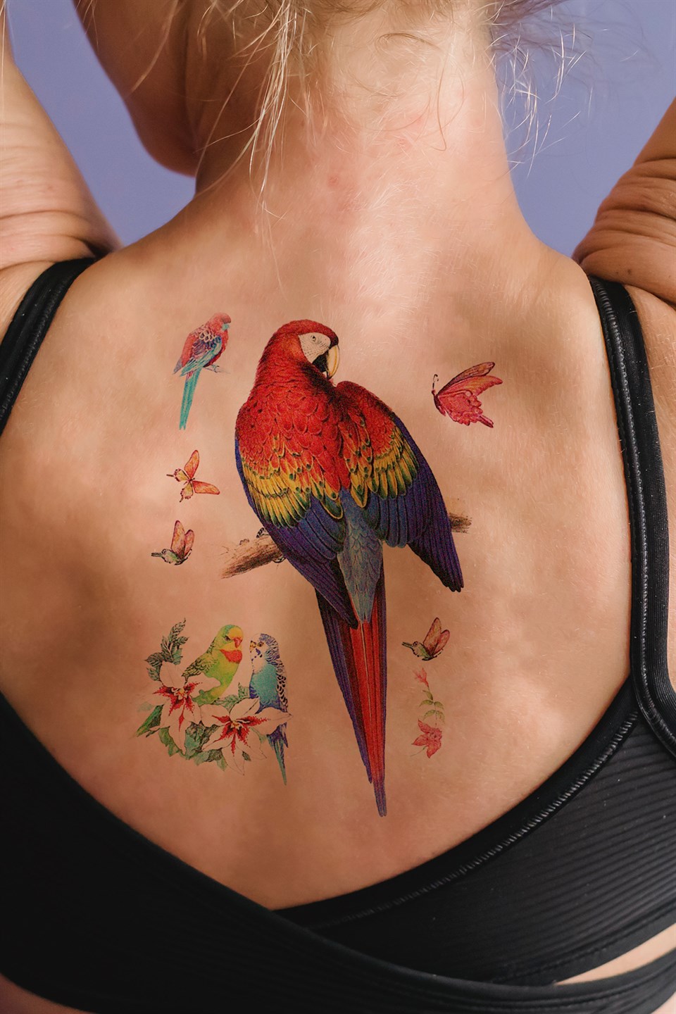 Parrot tattoo by Led Coult  No 1130