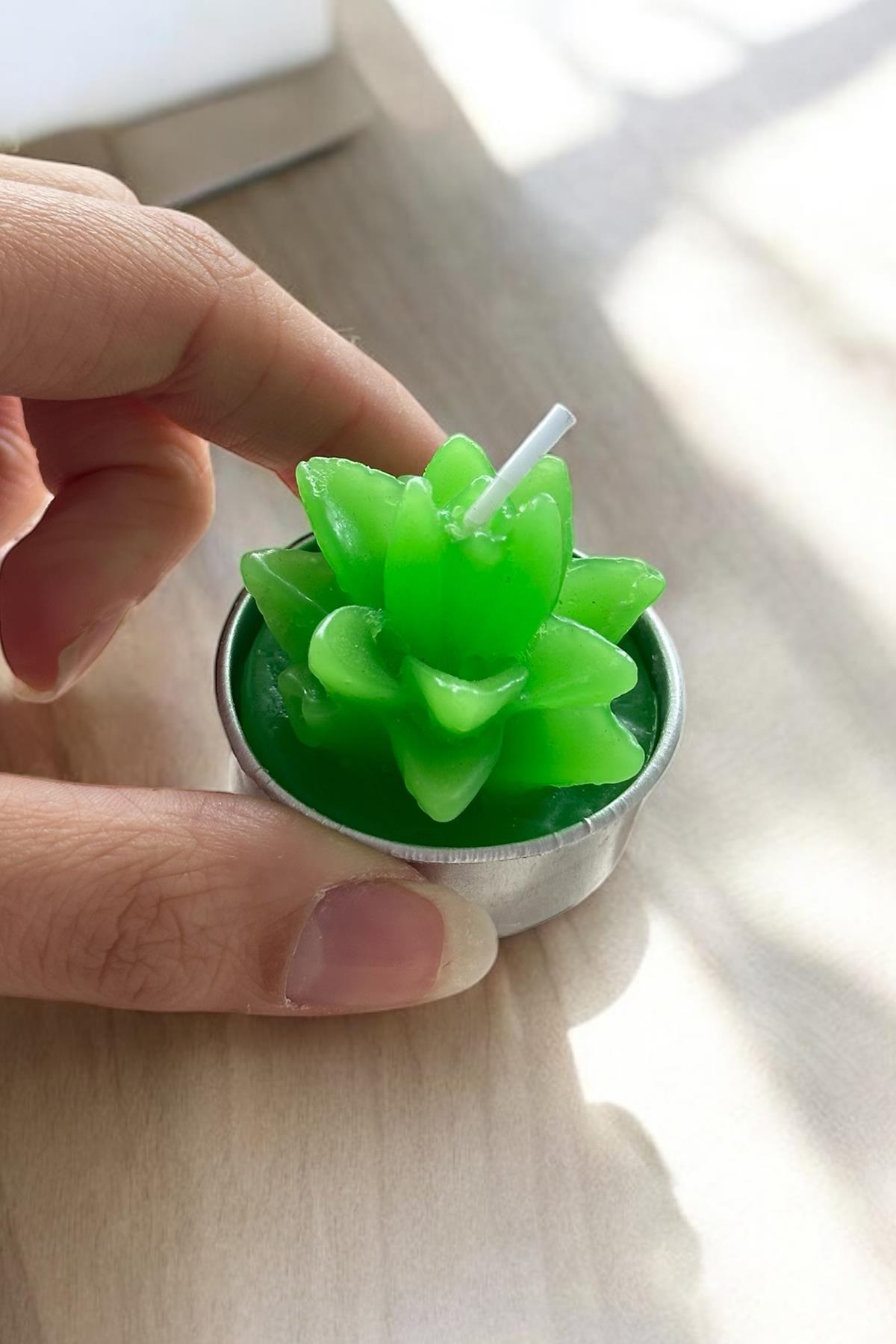 Yeşil Renk Sukulent Figürlü Mum