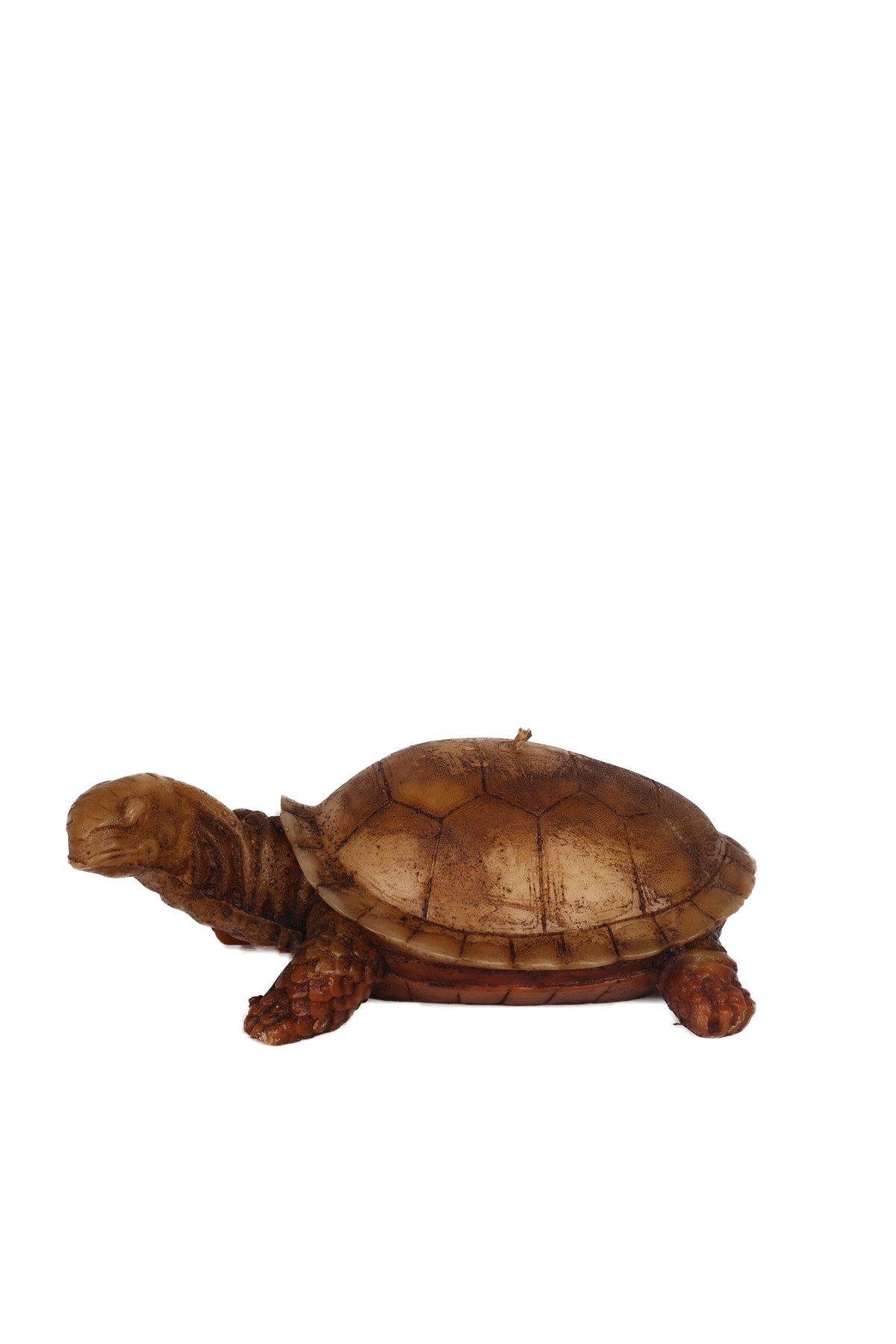 KAPLUMBAĞ MUM- ESKİTME RENK