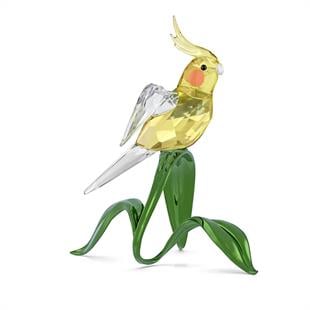 ÜnçerlerIdyllia Sultan Papağanı