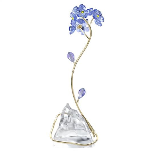 MarkasızFLORERE:FORGET-ME-NOT---