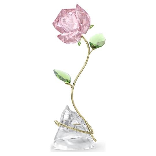 MarkasızFLORERE:ROSE---
