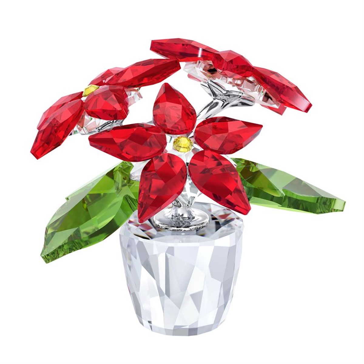 Yıldız Çiçeği Biblo