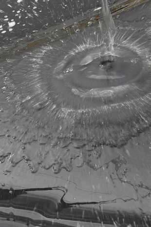 Sonax Böcek Sökücü 750 ml