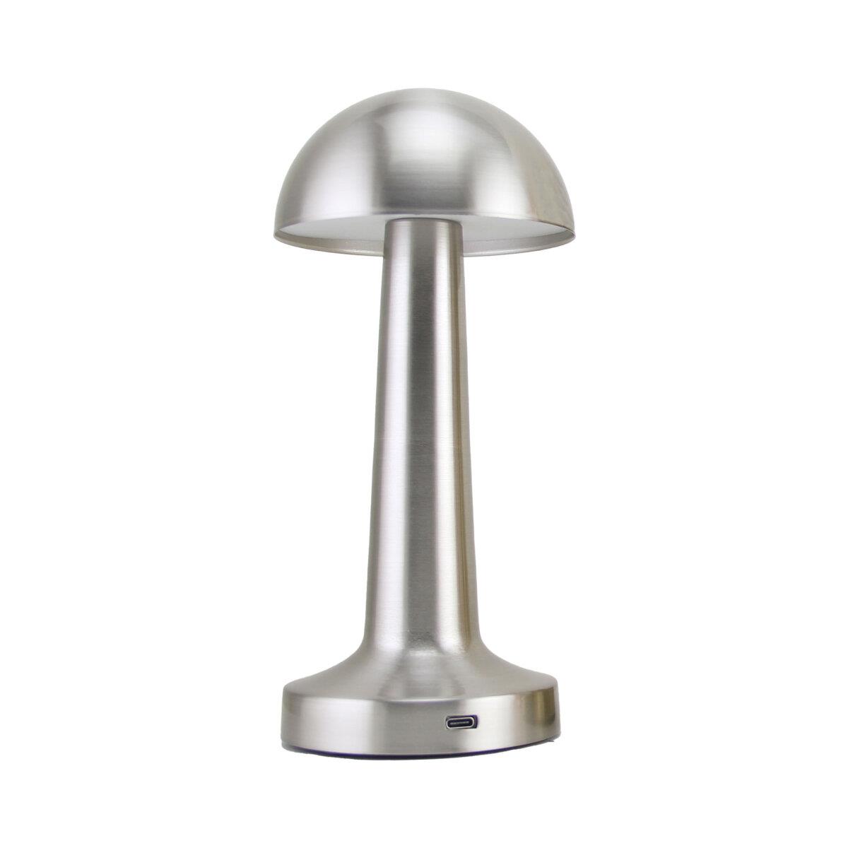 PANTHER PT-700 SILVER USB ŞARJLI MASA LAMBASI