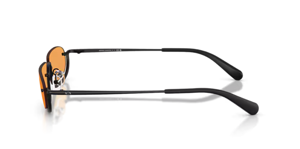 ARMANI EXCHANGE  2058S 6000/7 58-14  Güneş Gözlüğü