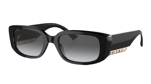 BVLGARI  8259 501/T3 53-19  Güneş Gözlüğü