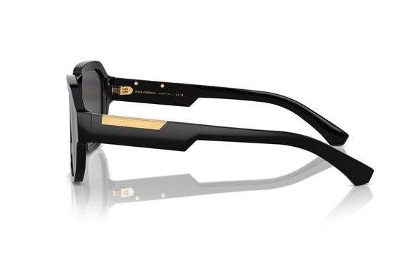 DOLCE&GABBANA  4464 501/87 56-19  Güneş Gözlüğü
