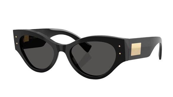 DOLCE&GABBANA  4480 501/87 53-19  Güneş Gözlüğü