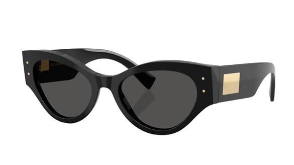 DOLCE&GABBANA  4480 501/87 53-19  Güneş Gözlüğü