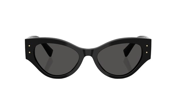 DOLCE&GABBANA  4480 501/87 53-19  Güneş Gözlüğü