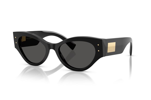 DOLCE&GABBANA  4480 501/87 53-19  Güneş Gözlüğü