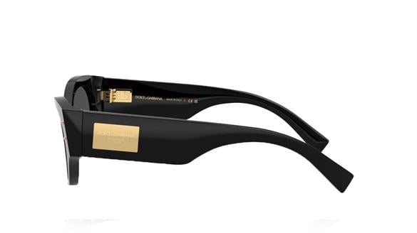 DOLCE&GABBANA  4480 501/87 53-19  Güneş Gözlüğü