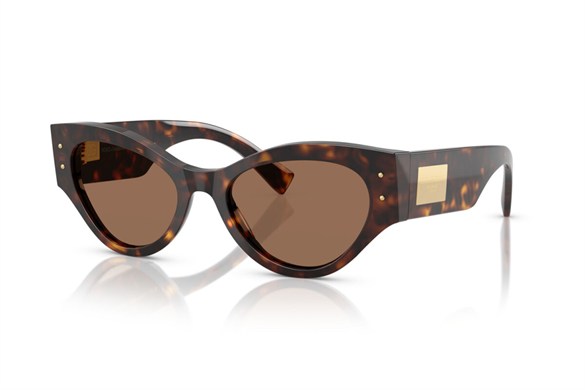DOLCE&GABBANA  4480 502/73 53-19  Güneş Gözlüğü