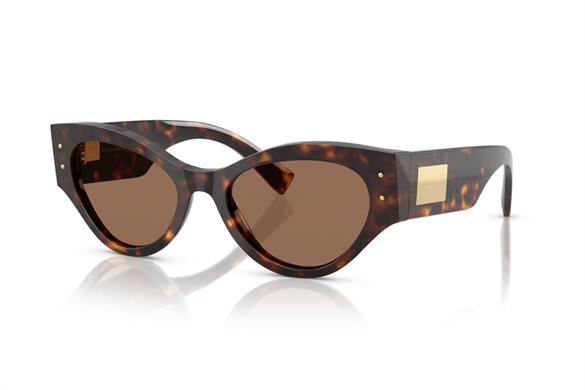DOLCE&GABBANA  4480 502/73 53-19  Güneş Gözlüğü