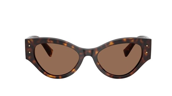 DOLCE&GABBANA  4480 502/73 53-19  Güneş Gözlüğü