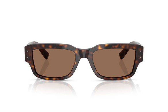 DOLCE&GABBANA  4483 502/73 54-19  Güneş Gözlüğü