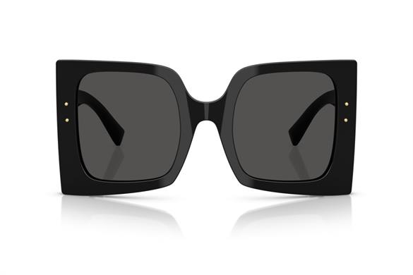 DOLCE&GABBANA  4490 501/87 54-19  Güneş Gözlüğü