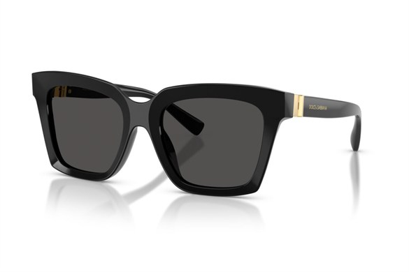 DOLCE&GABBANA  4498 501/87 55-20  Güneş Gözlüğü
