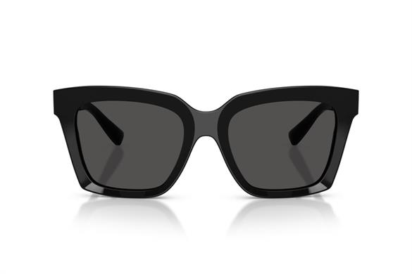 DOLCE&GABBANA  4498 501/87 55-20  Güneş Gözlüğü
