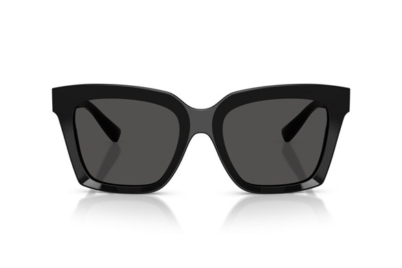 DOLCE&GABBANA  4498 501/87 55-20  Güneş Gözlüğü