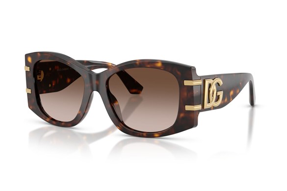 DOLCE&GABBANA  4501 502/13 54-17  Güneş Gözlüğü